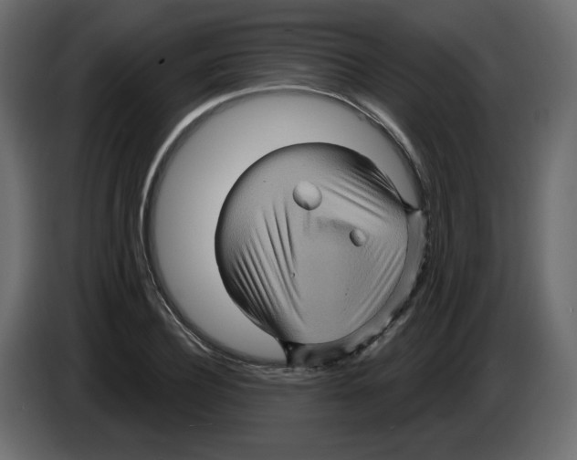 X0000084520932200703231627