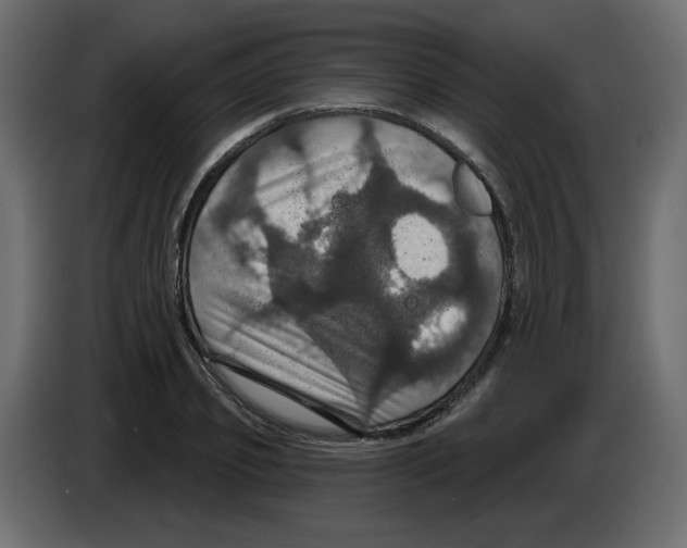 X0000084520933200703231627