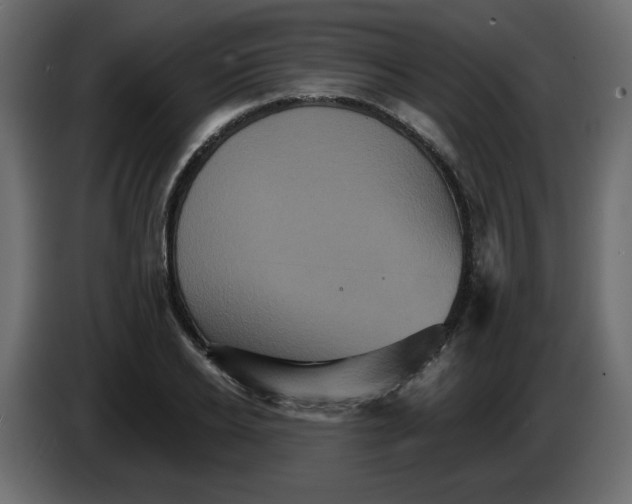 X0000084520934200703231627