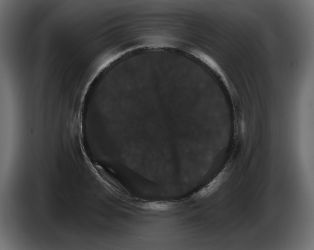 X0000084520935200703231627