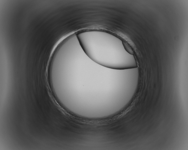 X0000084520936200703231627