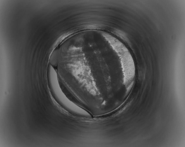 X0000084520938200703231627