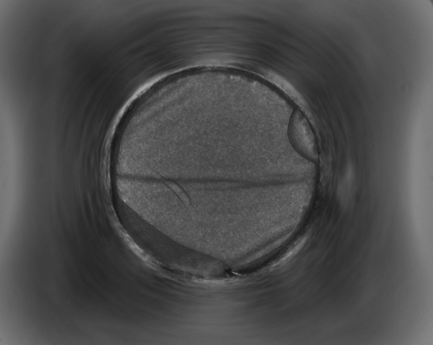 X0000084520939200703231627