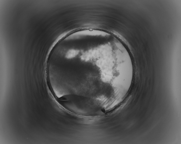 X0000084520941200703231627