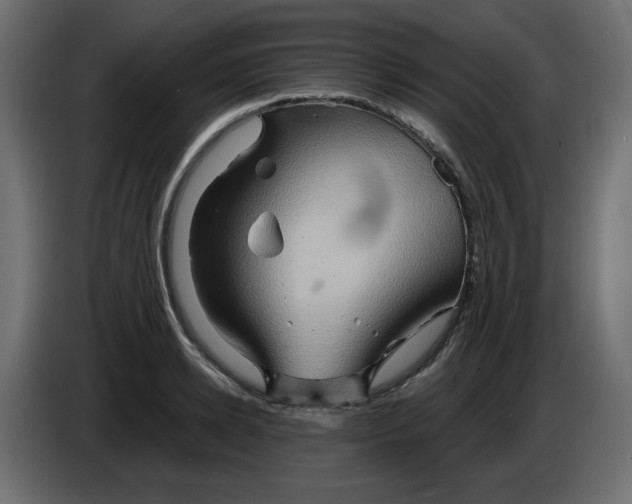 X0000084520942200703231627
