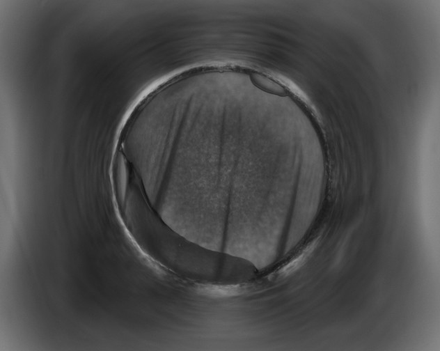 X0000084520943200703231627