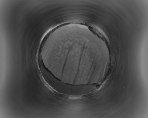 X0000084520944200703231627