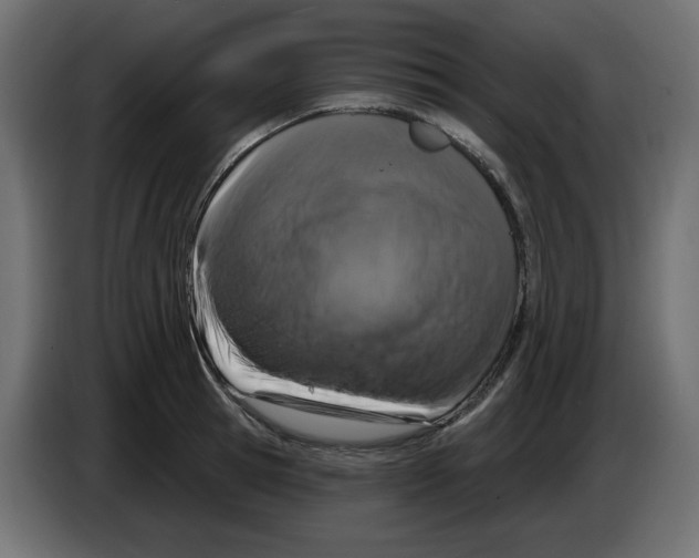 X0000084520945200703231627