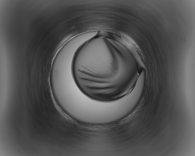 X0000084520946200703231627