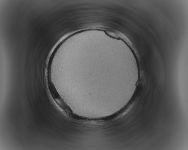 X0000084520947200703231627