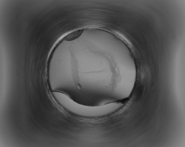 X0000084520948200703231628