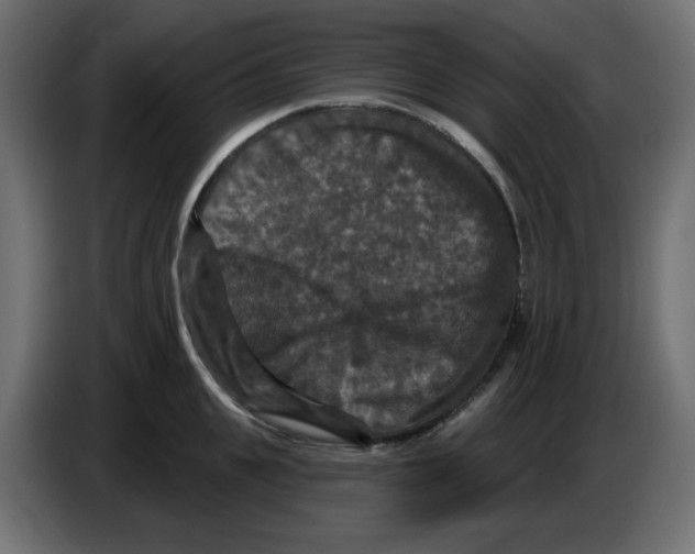 X0000084520951200703231628