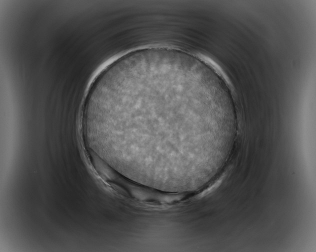 X0000084520952200703231628