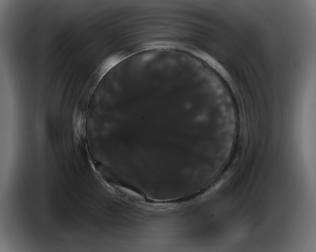 X0000084520953200703231628