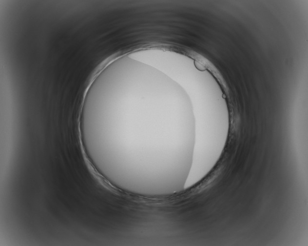 X0000084520954200703231628