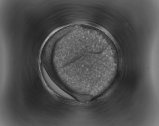 X0000084520955200703231628