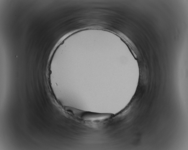 X0000084520956200703231628