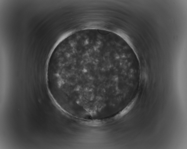 X0000084520957200703231628