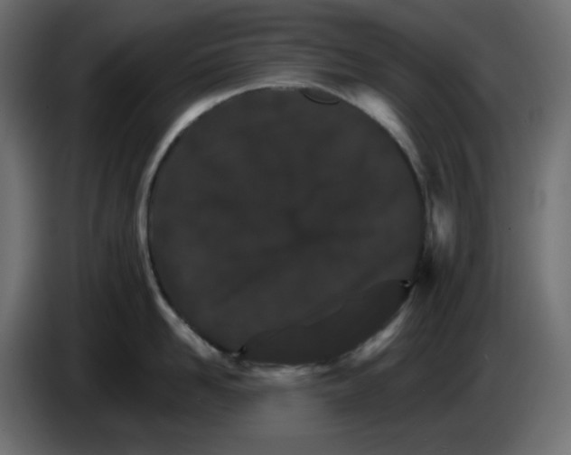 X0000084520958200703231628