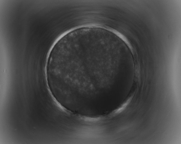 X0000084520959200703231628