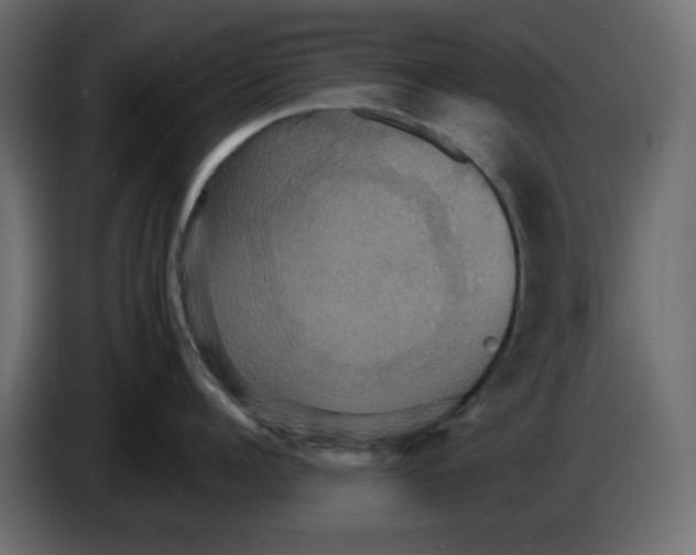 X0000084520960200703231628