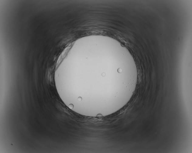 X0000084520962200703231627