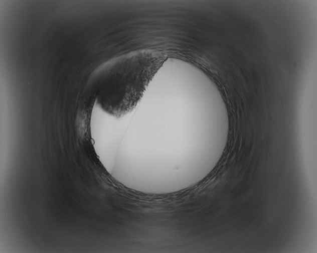 X0000084520963200703231627