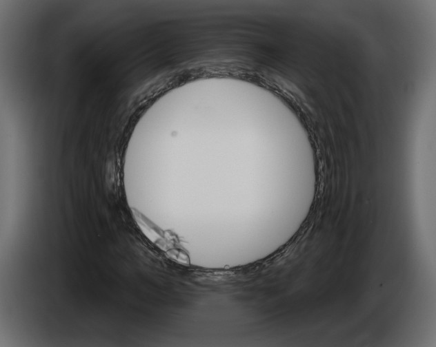 X0000084520966200703231627