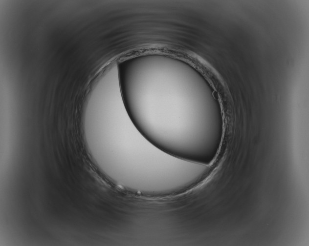 X0000084520969200703231627