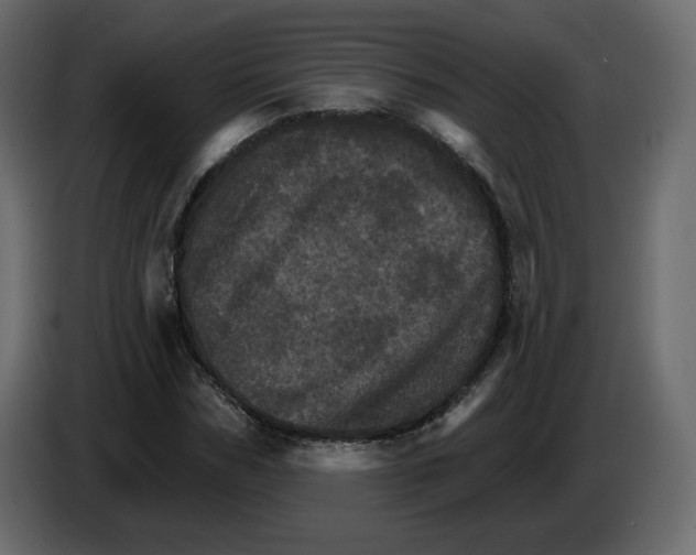 X0000084520970200703231627