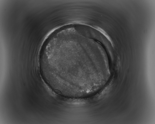 X0000084520972200703231627