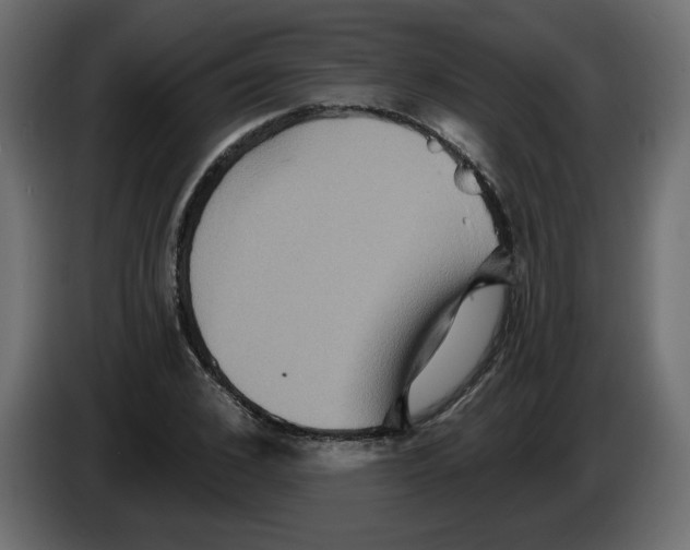 X0000084520976200703231627