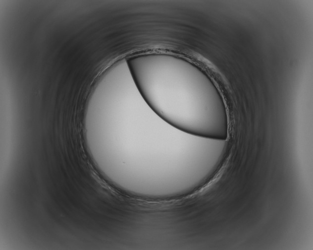 X0000084520977200703231627