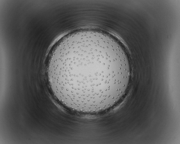 X0000084520978200703231627