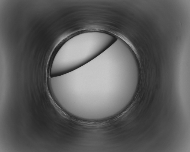 X0000084520980200703231627