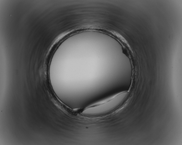X0000084520981200703231627