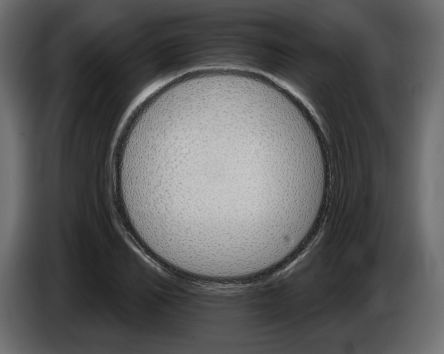 X0000084520982200703231627