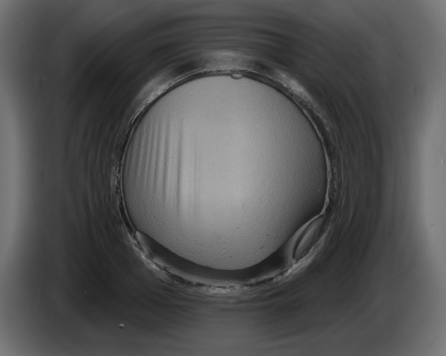 X0000084520985200703231627