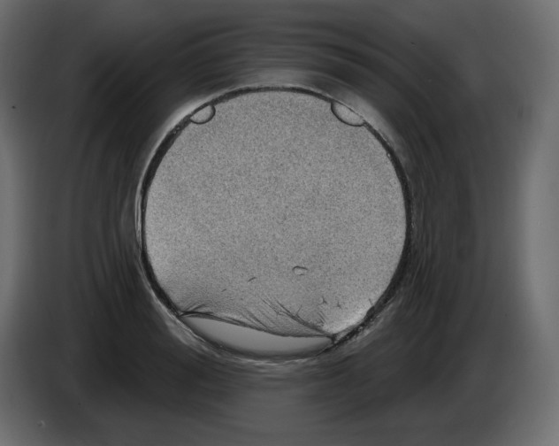 X0000084520988200703231627