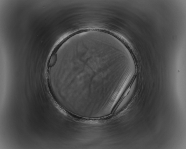 X0000084520990200703231627