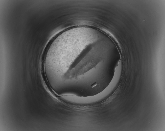 X0000084520991200703231627