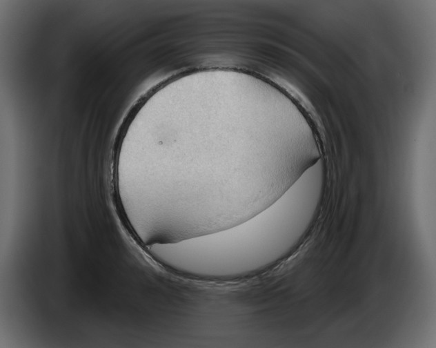 X0000084520992200703231627