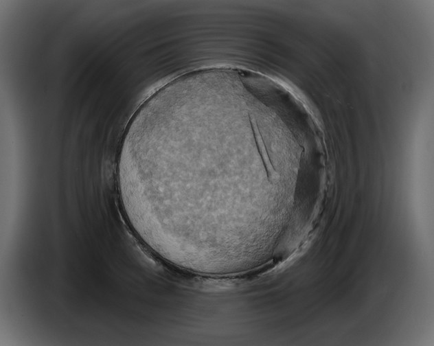 X0000084520993200703231627