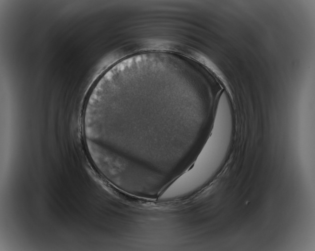 X0000084520994200703231627