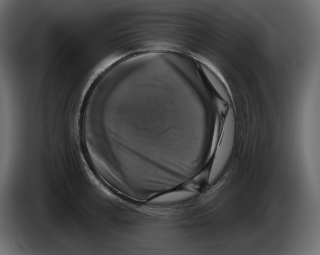 X0000084520995200703231627