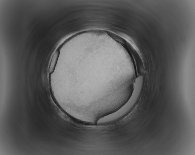 X0000084520996200703231626