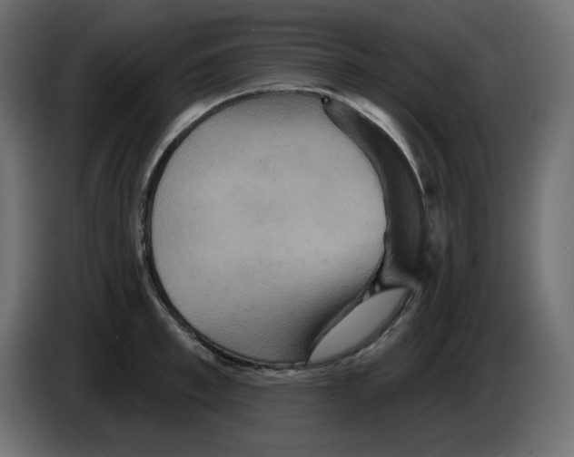 X0000084520997200703231626