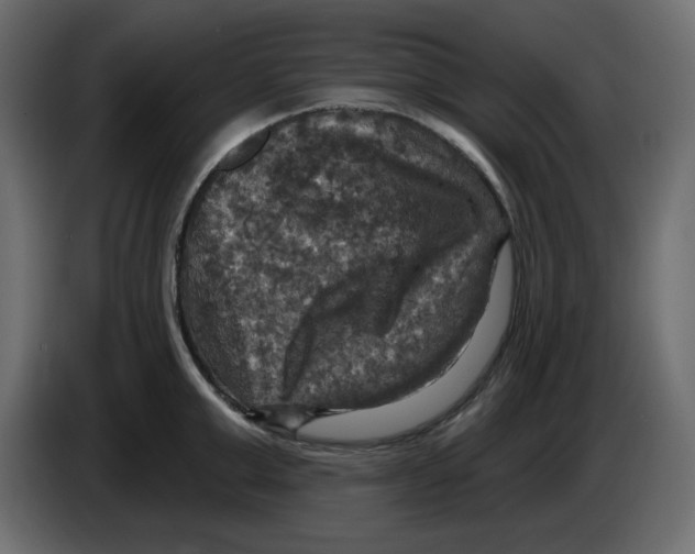 X0000084520999200703231626