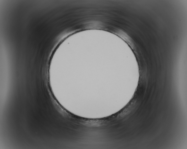 X0000084521000200703231626
