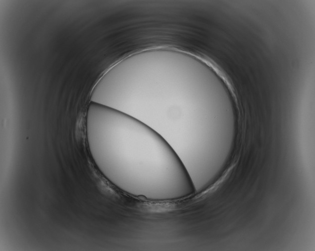 X0000084521001200703231626